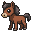 Horse foal