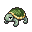 Turtle pet
